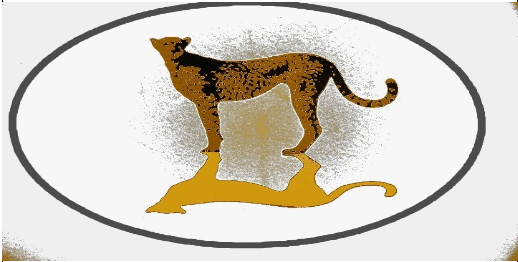 Cheetah oval